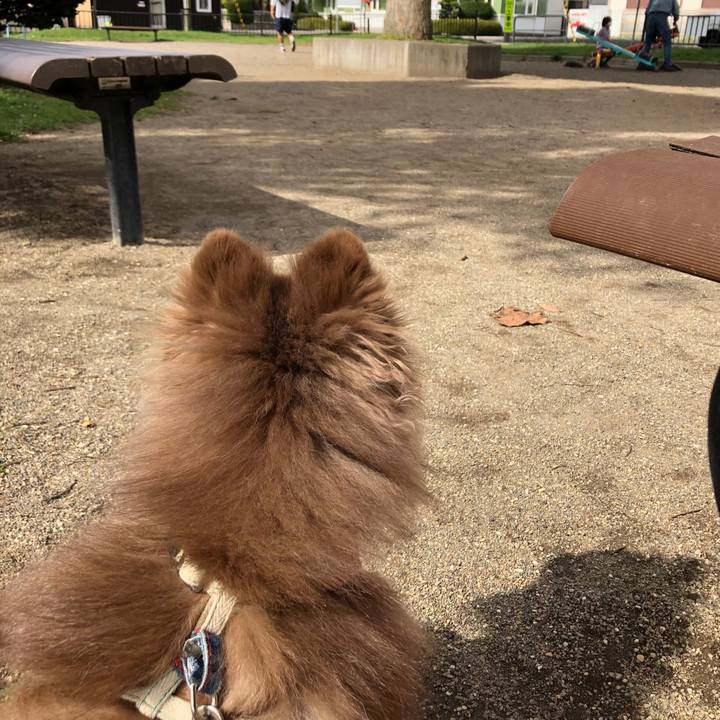 3da184d9 5b08 404a 97d6 3b8d7243f7df 1633910705905