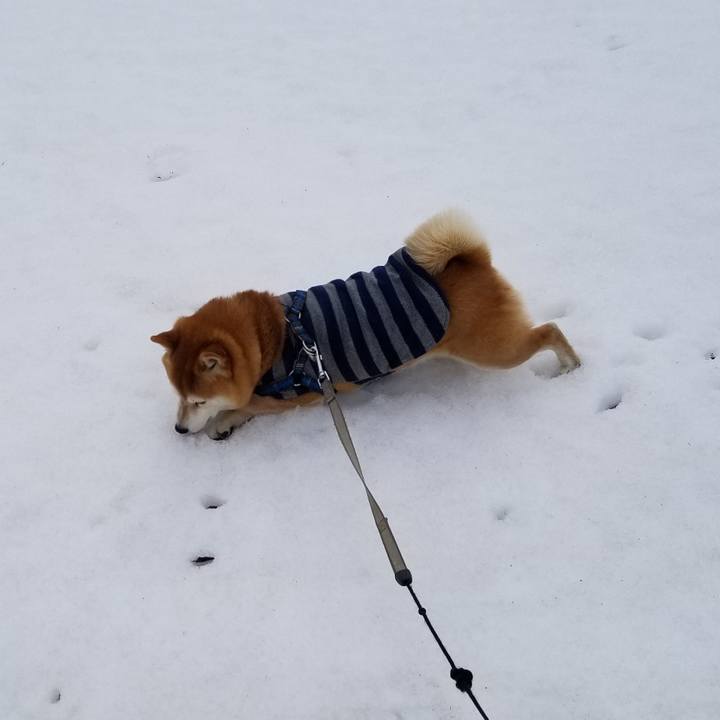 3da1a3d9 f4cc 492c 9051 92bf89953735 1551236872646