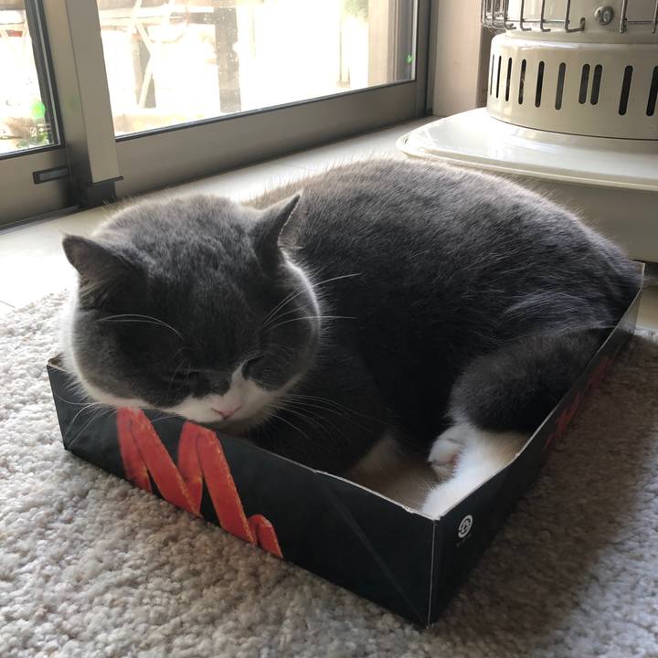 3da1d881 64b5 41f4 b077 88f443289629 1546314474534