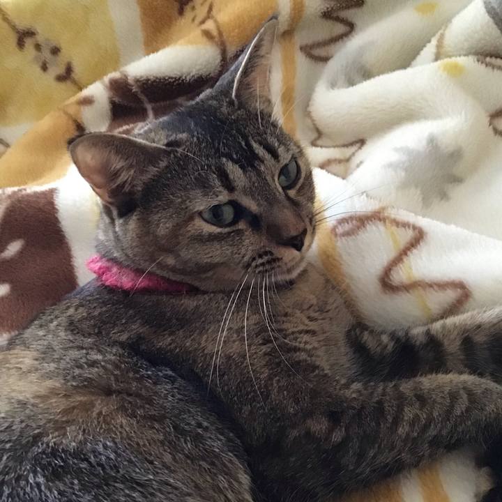 3da1e326 0117 4a33 ac03 2b3392201f3f 1601508243567