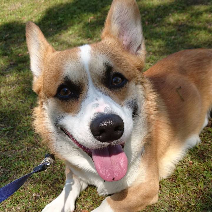 3da20207 9905 4e13 977e 5b97b7f8c860 1587816411870