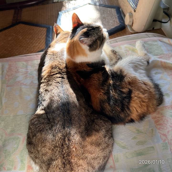 3da24c6a 8d60 46ed bba9 3e85c99763b2 1768006067176