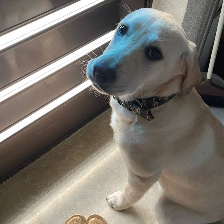 3da2585e 3b6f 4745 a534 0dad21a3f5c0 1621383255063