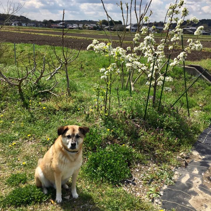 3da25a4f f869 4b6d 9e07 0faa2e47d805 1523156010691