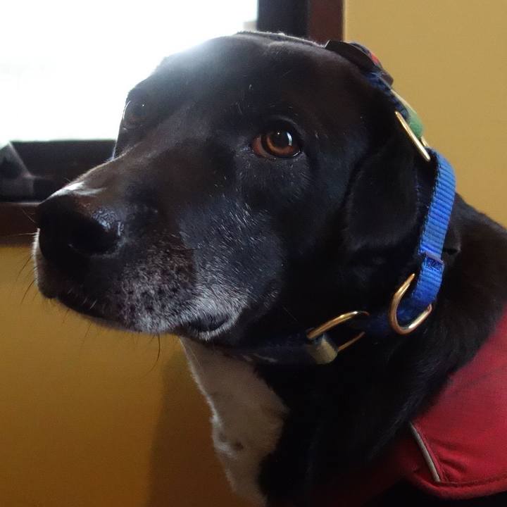 3da2828a 931f 444a 8178 202fc7d995a1 1682386088724