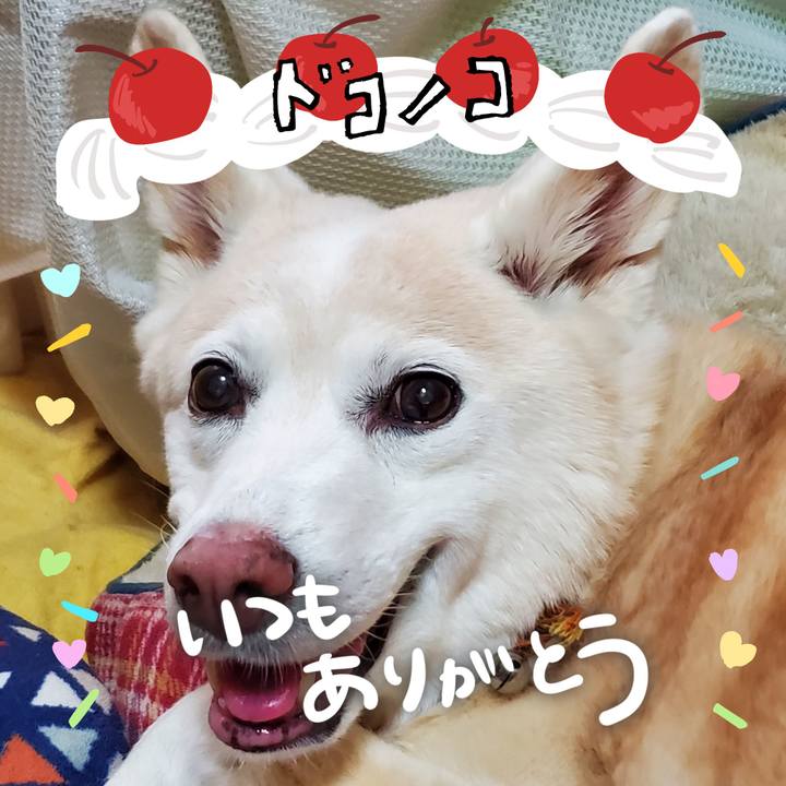 3da29401 2c61 44a4 9e97 56c3581e63c4 1686001712044