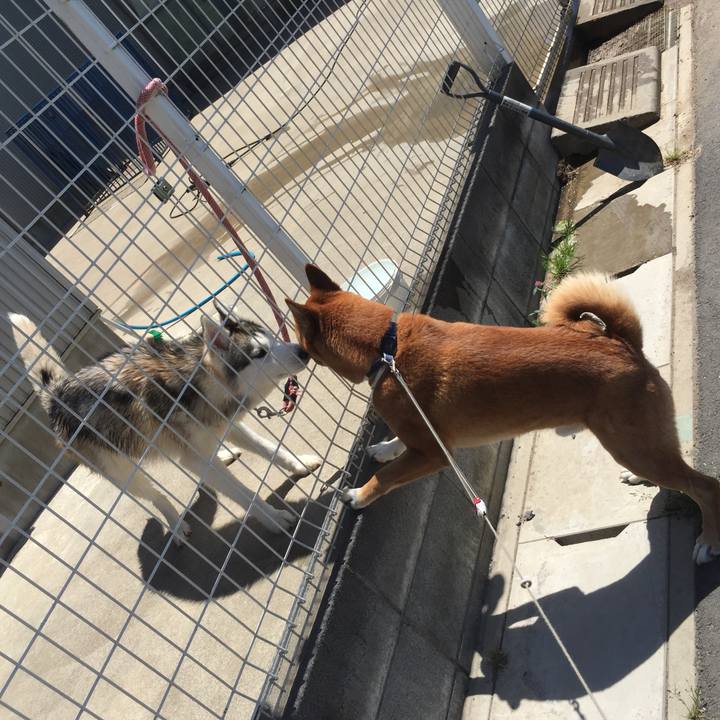 3da2abb9 57ad 454b 8608 62ca7ddf8f49 1589084340785