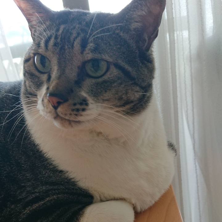 3da2ba7e f9ce 4bd8 918d 59f01daeddf5 1574644761021