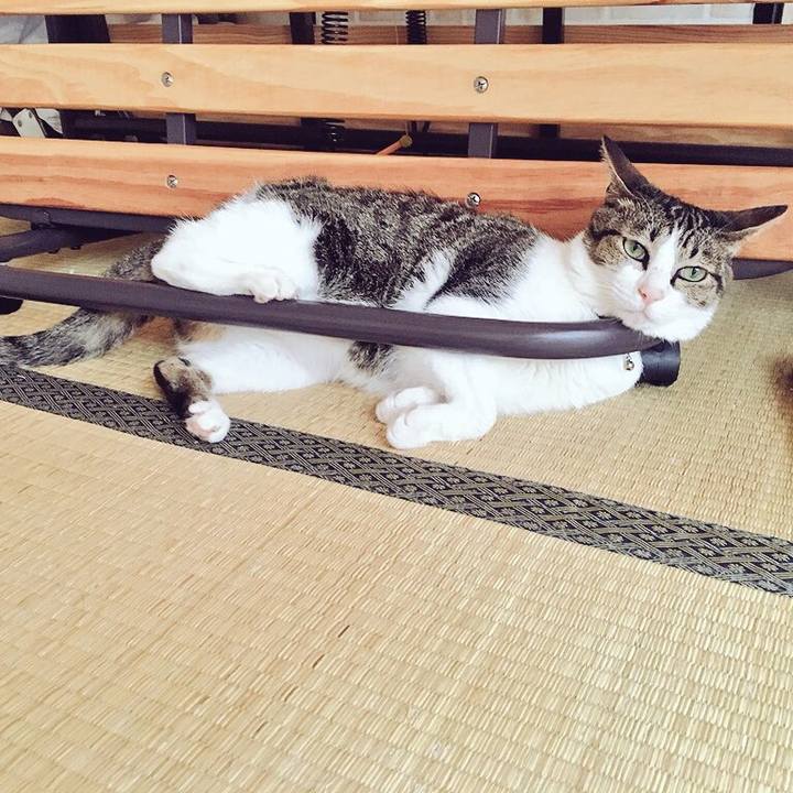 3da2bb59 0c90 48c1 ba5a 24ba133dd67c 1532957621326