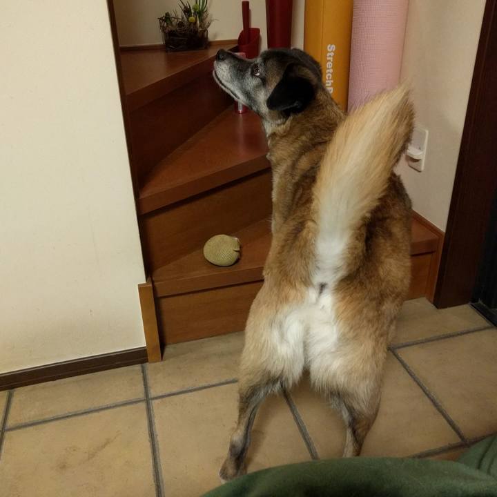 3da2bc51 c377 4bd9 ae88 992517609c31 1710637779930