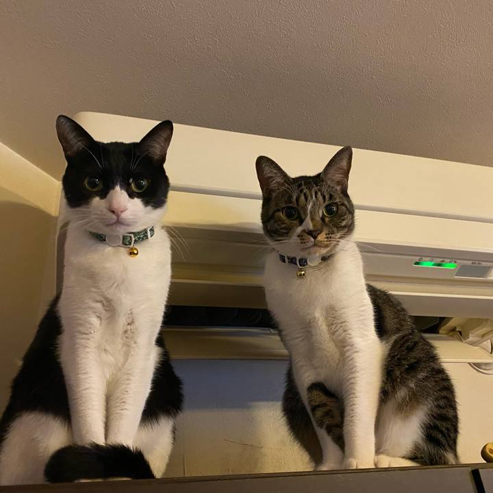 3da2d8b8 743b 48a5 8ed7 65714327acd3 1769207563732