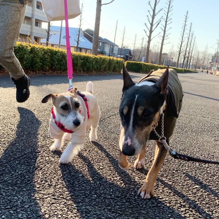 3da3554e 655a 4821 97e0 36fb4082287e 1581421254886