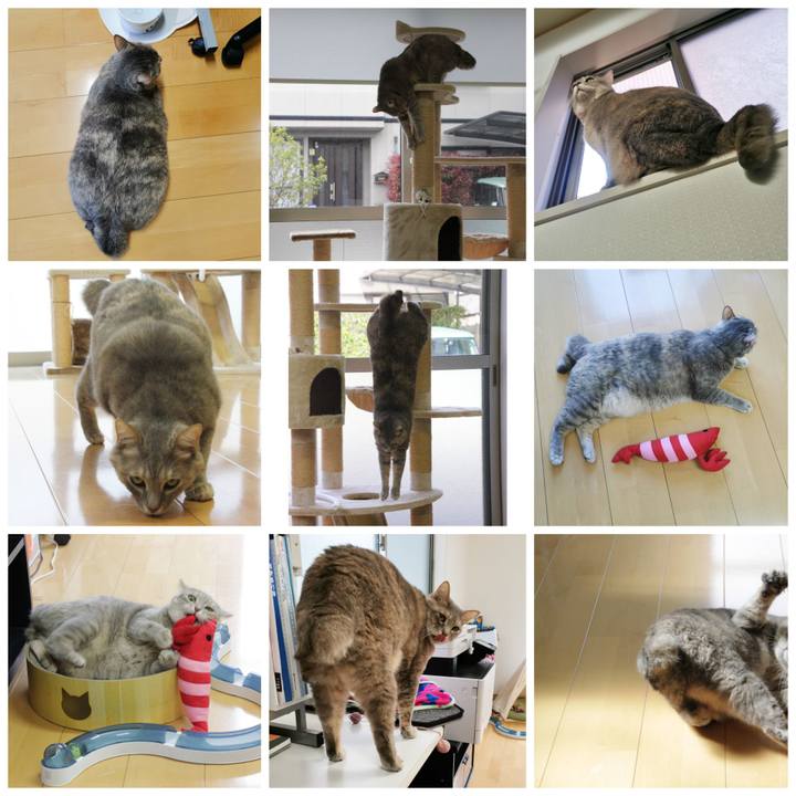 3da3794c de72 4828 be35 0b0ef9234446 1643946167163