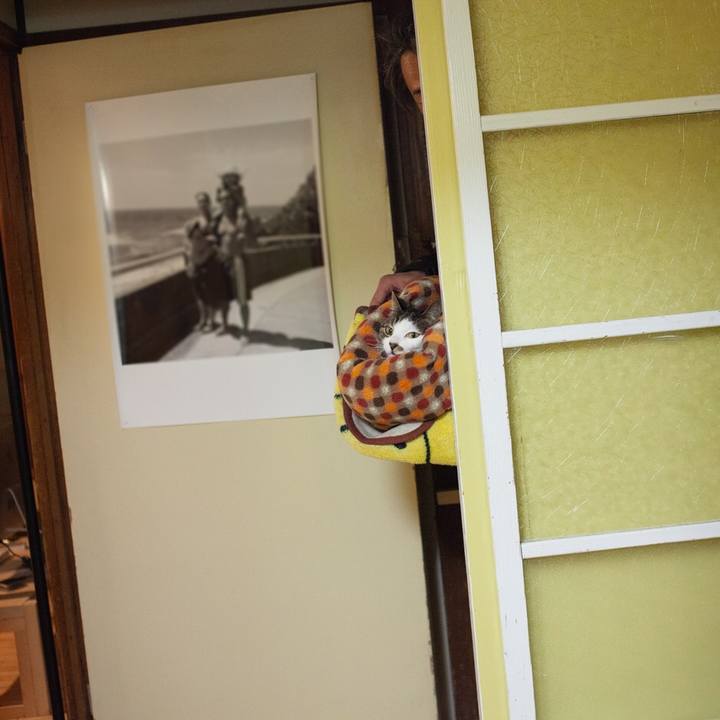 3da37b7c fb04 4ae4 96fe c9fa2291d12d 1548161250421