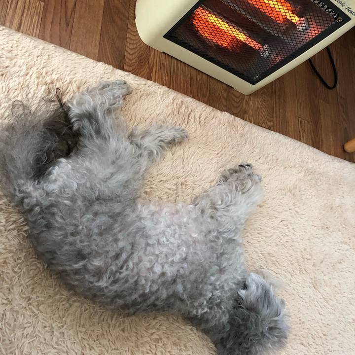 3da387f9 bb4b 413e 81d4 9484c938fb3d 1546489566921