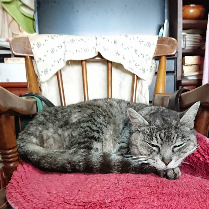 3da39572 927c 4244 95fe 29c169e5a8a1 1581140784566