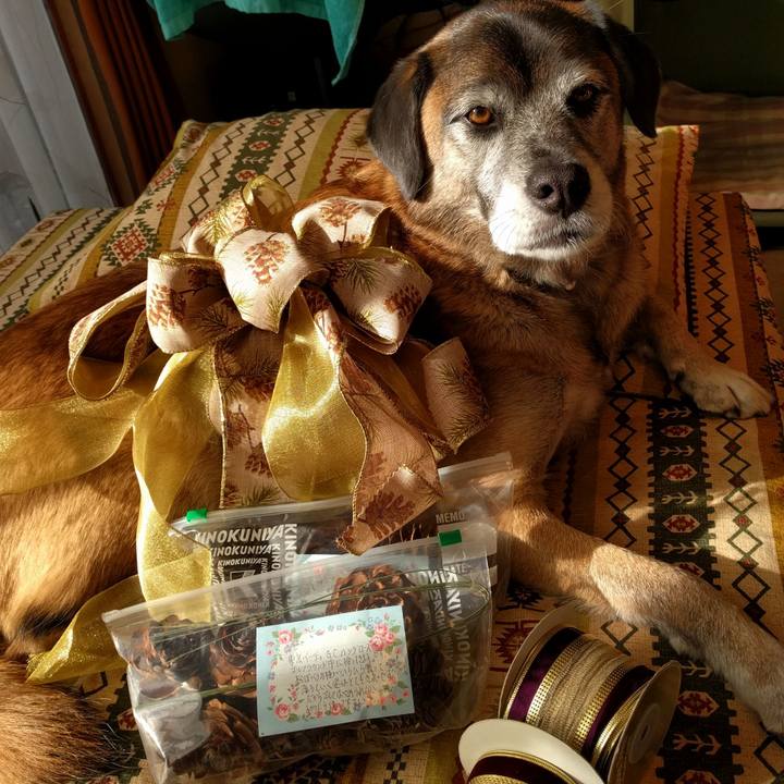 3da39778 e9d9 40dc a87e 82dc7552909b 1513388261435