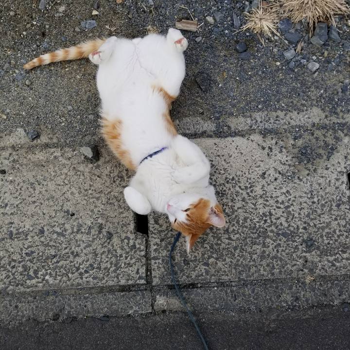 3da3b453 be92 41dd b295 b41d61a14b0f 1516503000489