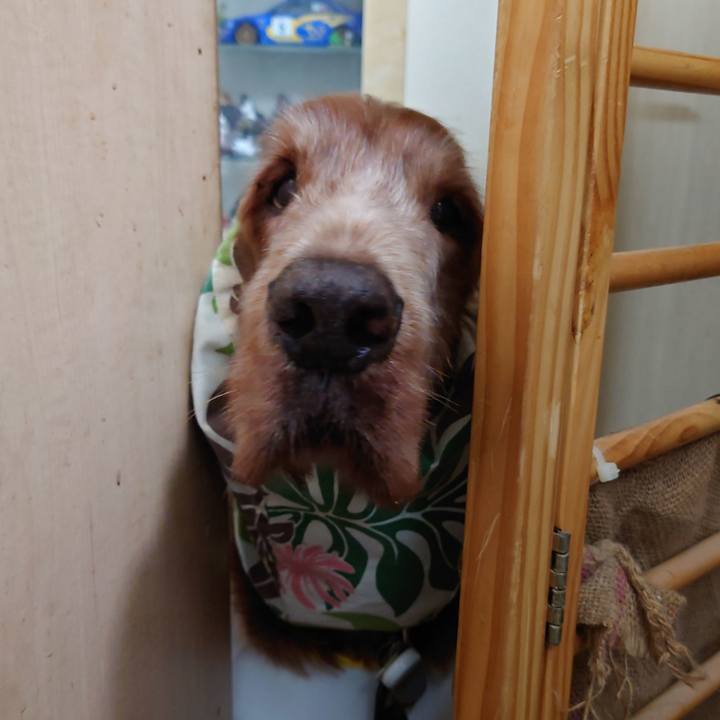 3da3e1d1 6882 4b80 a42e 7e8430b80eb6 1713520251587