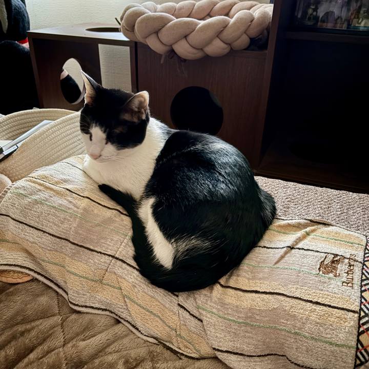 3da3f276 a37a 49d7 a512 623d5269bad3 1766186297055