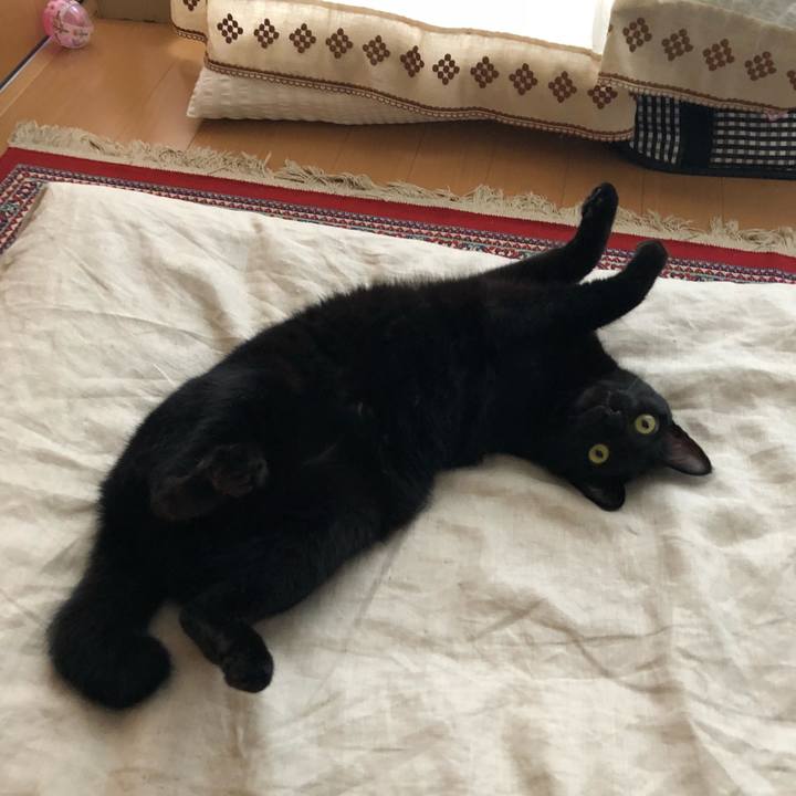 3da40a88 bfaa 4f82 aa0e 8c304c6cfb08 1535676517068