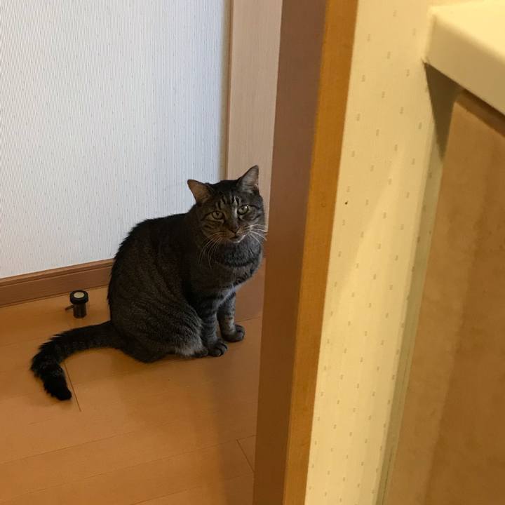 3da44e98 bcaa 4905 9dae 1164a9b42547 1567374170538