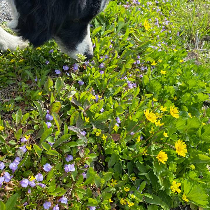 3da481e2 63f4 45be a66b cc6073dfe2f0 1616635213876