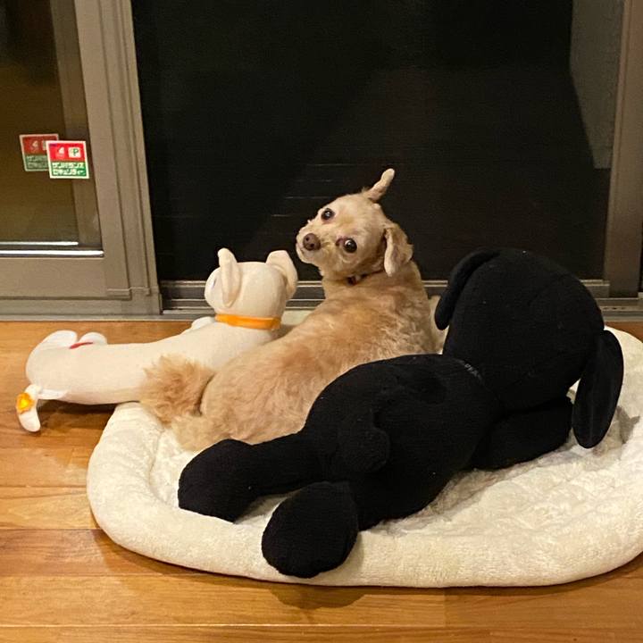 3da4bf3b e493 4823 97b8 64d692c38356 1603614117812