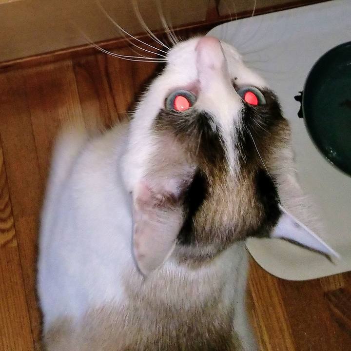 3da4eae4 0088 4d28 8150 ce55666de8eb 1525425162827