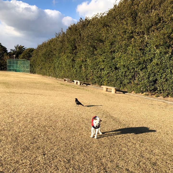 3da51ed0 11e3 47b1 9eda 13484b5c63e7 1646643436795