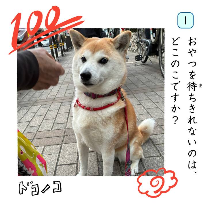 3da56d6c 6294 4229 8170 20bac3e10d5d 1744364890075