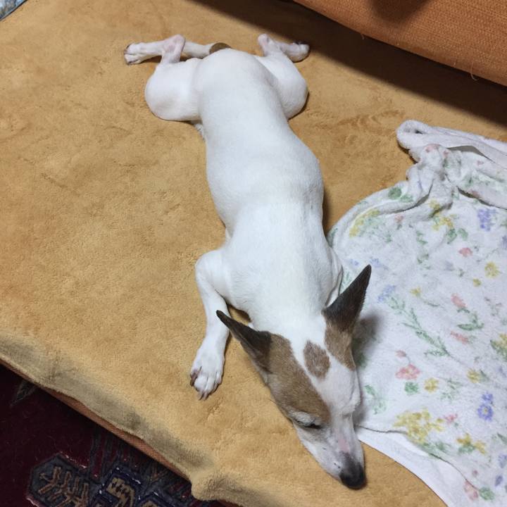 3da58fbb bd84 434c af4e 736d6d3a3920 1528693083750