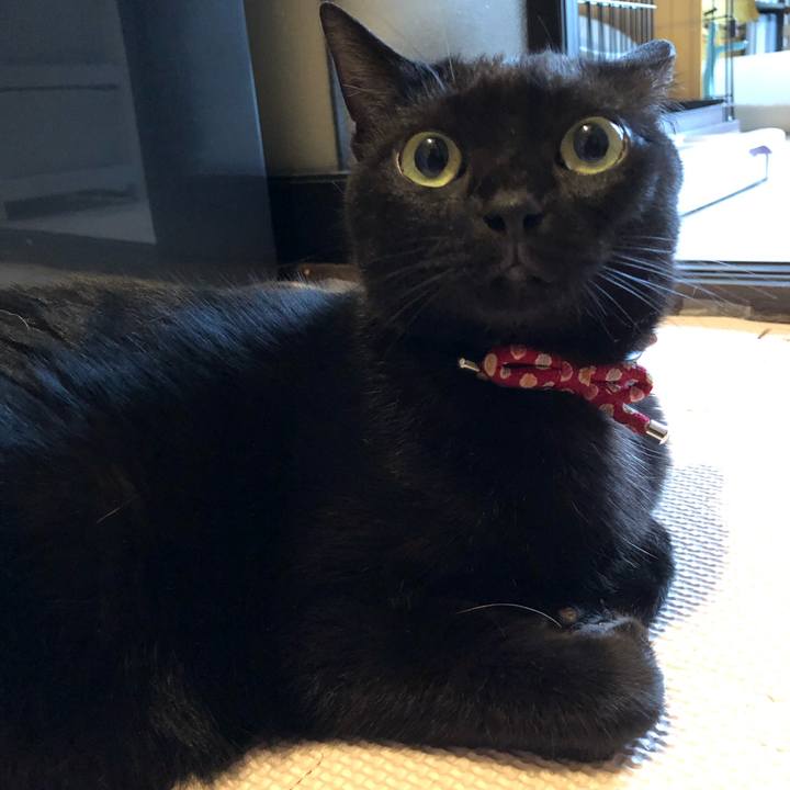 3da59939 8b63 4628 a12e 10da1513a133 1622758223959