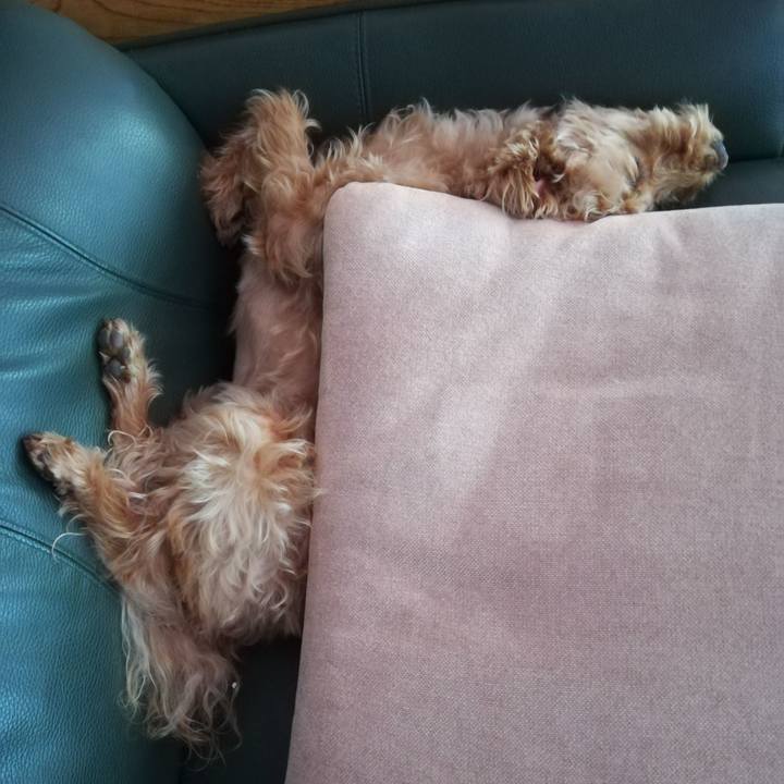 3da5bd24 5a21 4808 ab41 6c2e438a4324 1558752923847