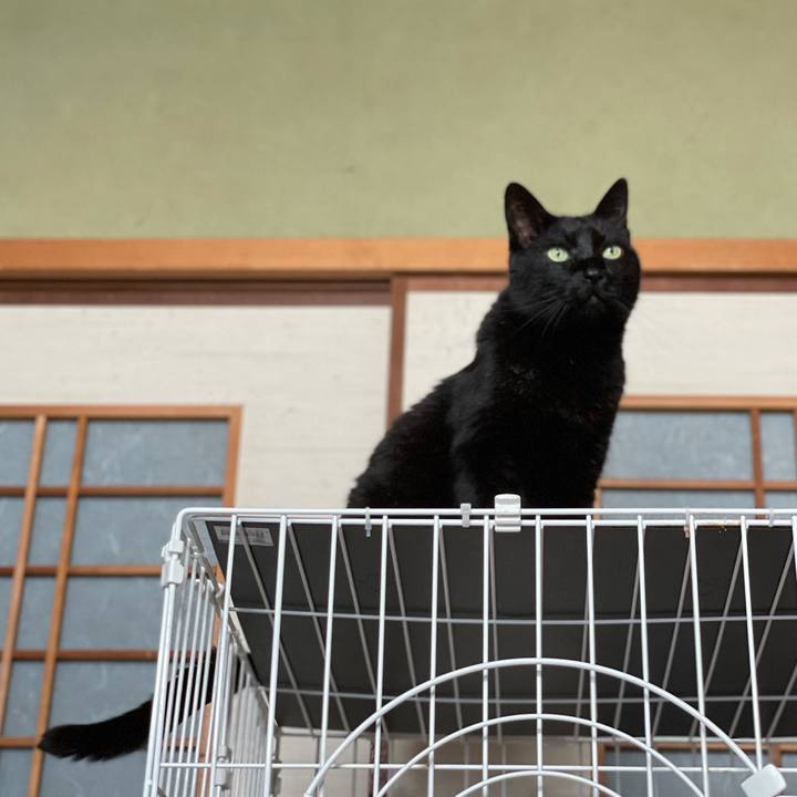 3da5da77 2836 4b4c a2cc 8976b3859be4 1621303664696