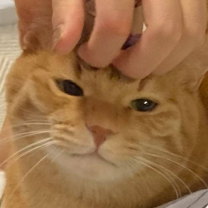 3da62011 f4f8 4cfd b4b2 dbbf10af4b84 1758420231982