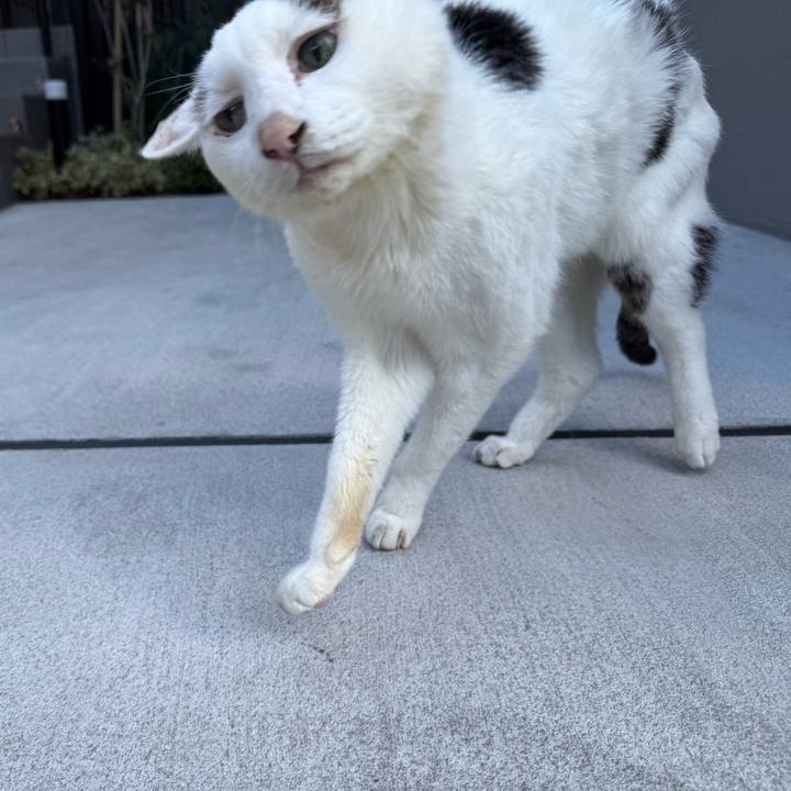 3da62309 cddb 43db 9de5 574c7b4b286d 1765253744151