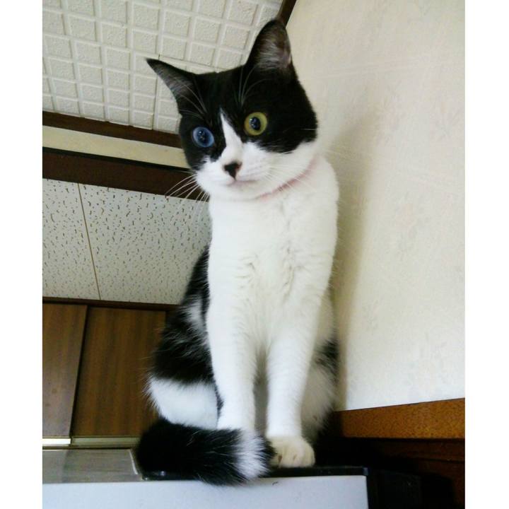 3da64328 8584 4276 b706 3c1c144ea9d8 1512221397851