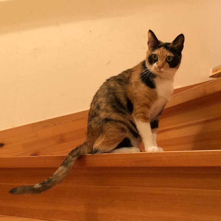 3da67c57 0043 4d94 b6d0 911c82827369 1542721242902