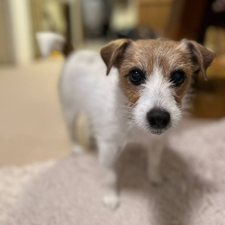 3da6806c 4fe1 4407 bda2 459e1a4331ba 1709460167435