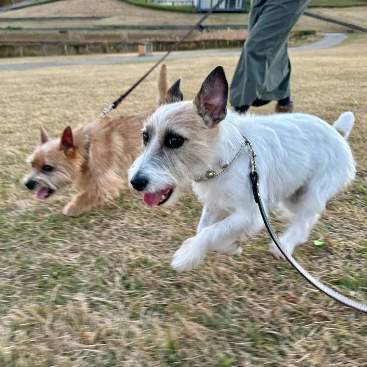 3da698e9 ea0b 4ed2 aee7 52084cc6fcd1 1733664204984