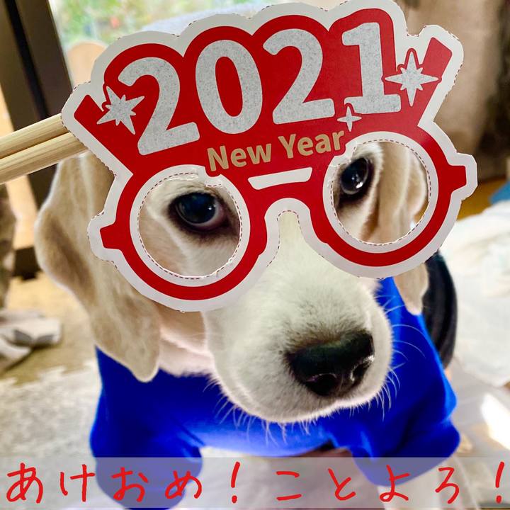 3da6b8da a160 4761 bc88 740bd72db391 1609474585834