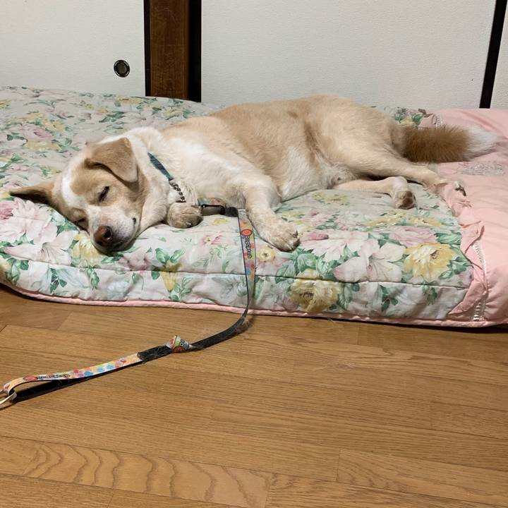 3da70f62 b342 414b 8186 7f35db96f705 1562249679997