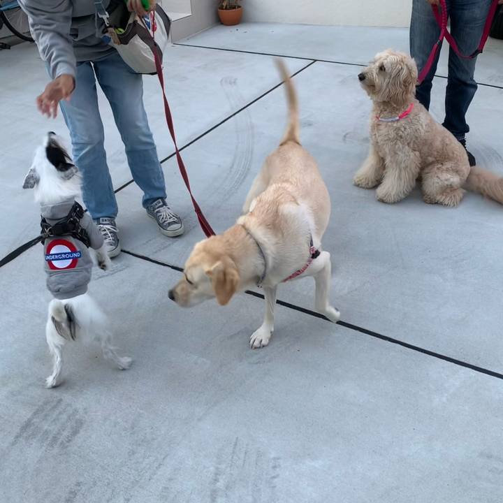 3da73ddb 28f9 408e a84f 227482ecdb56 1731311456127