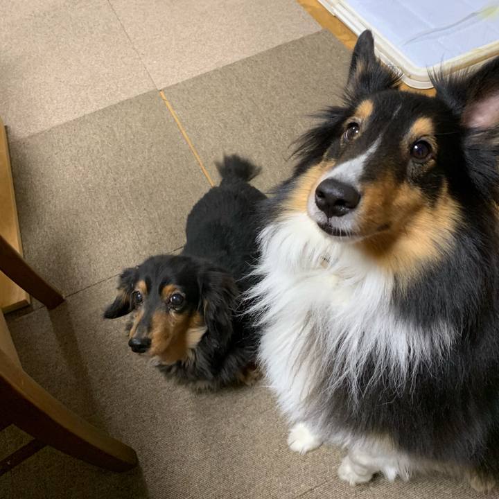 3da75191 5377 464c 9747 8ad47d9d1c49 1579211790201