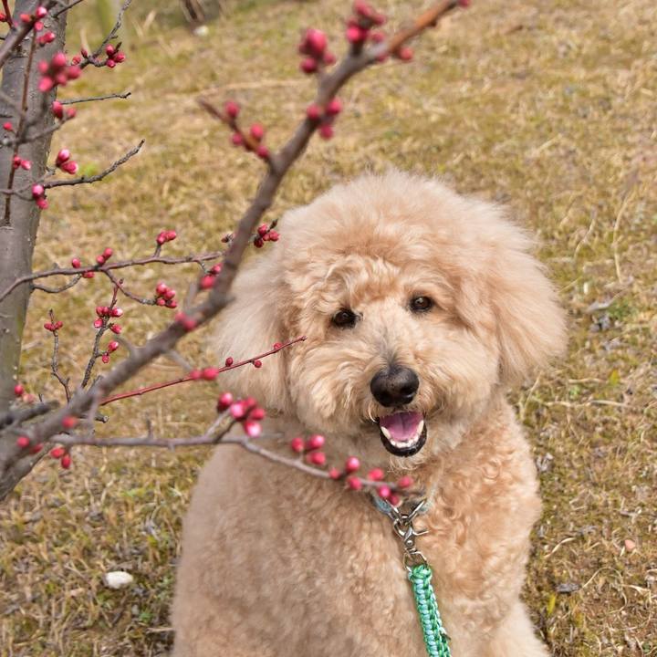 3da755e9 0732 480e badc 5e302942ad25 1519195058776