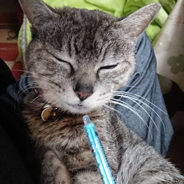 3da75eed 08c5 4255 ae21 04eb1758c62b 1587678519459