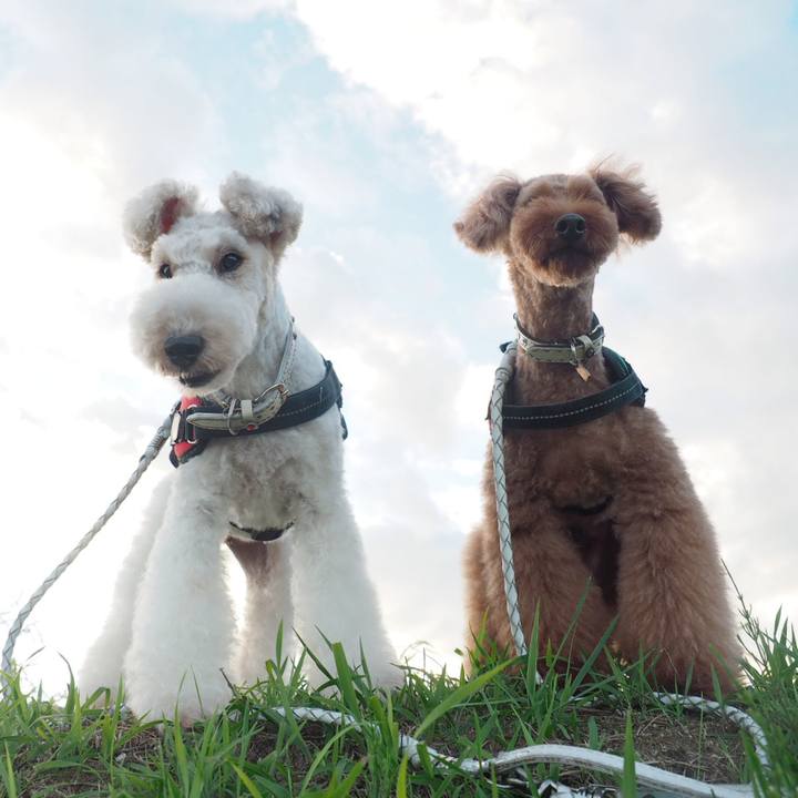 3da7604c bbfb 4af5 9ba5 5d232fcf1b6f 1568006079122