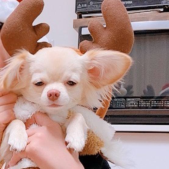 3da781a2 b903 47de b79c cd7623654f7c 1608867871552