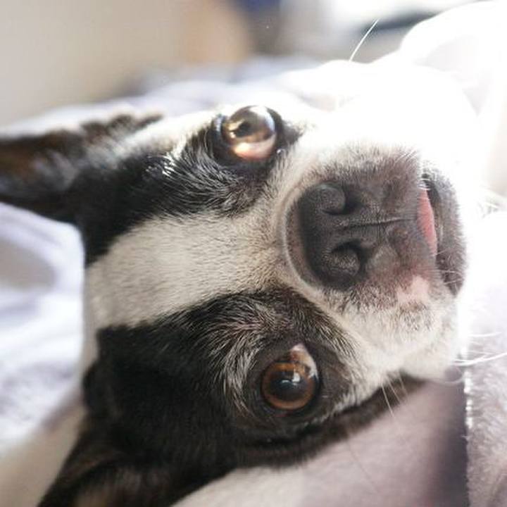 3da78554 f50c 43be 849f 33abd1a6059b 1543277652158